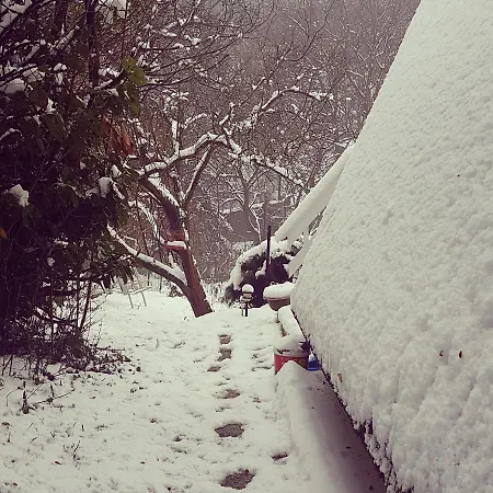 ロッジ Albatross *