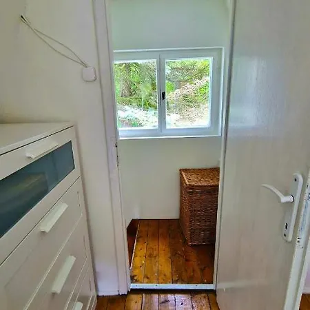 Albatross Orman Evi