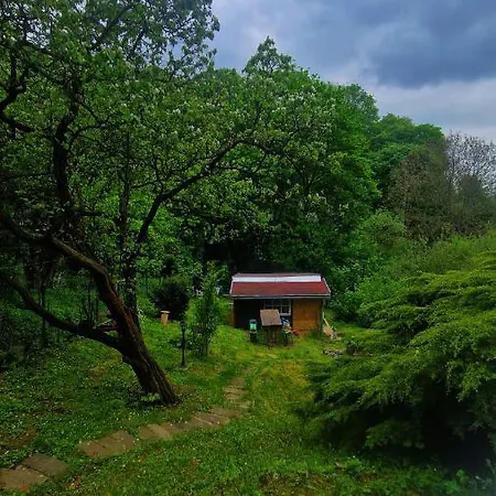 Albatross Duna Retreat 山林小屋 Dömös