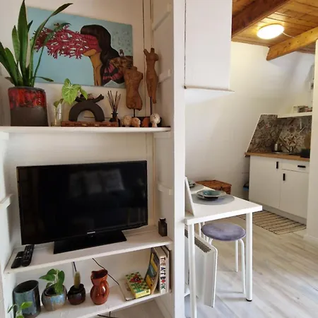 Orman Evi Albatross