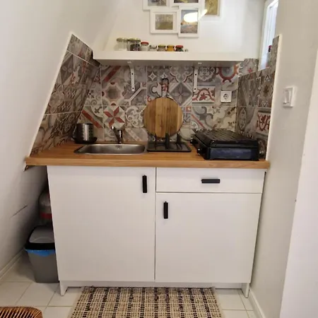 Albatross Orman Evi