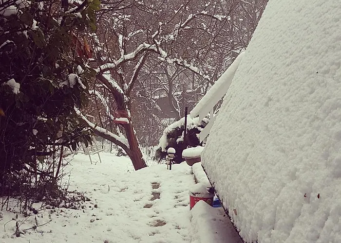 Gerendaház Albatross *